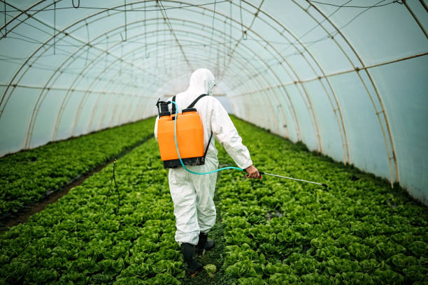 Best Mosquito Control Services  in Carrington, ND