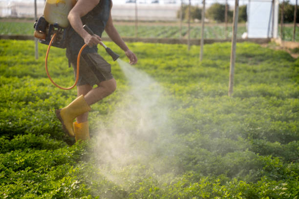 Best Flea Control Services  in Carrington, ND