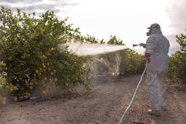 Best Wildlife Control Services  in Carrington, ND