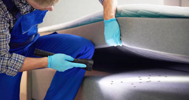 Best Residential Pest Control  in Carrington, ND