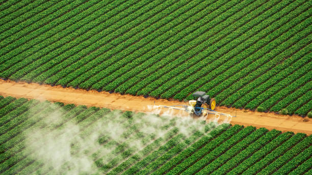 Best Pest Prevention Services  in Carrington, ND