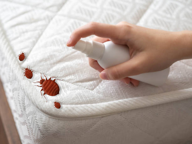 Best Pest Control Treatment  in Carrington, ND