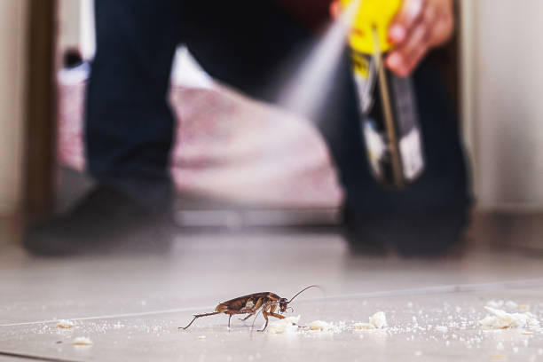 Wildlife Control Services in Carrington, ND