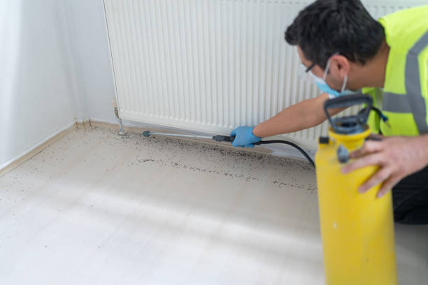 Best Affordable Pest Control Services  in Carrington, ND
