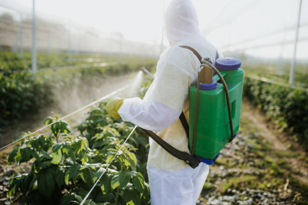 Best Ant Control Services  in Carrington, ND